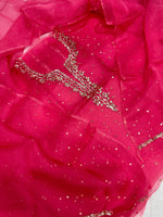 Load image into Gallery viewer, Beautiful soft pure organza silk shirt and dupatta with mukesh work
