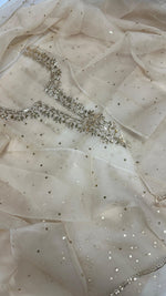 Load image into Gallery viewer, Beautiful soft pure organza silk shirt and dupatta with mukesh work
