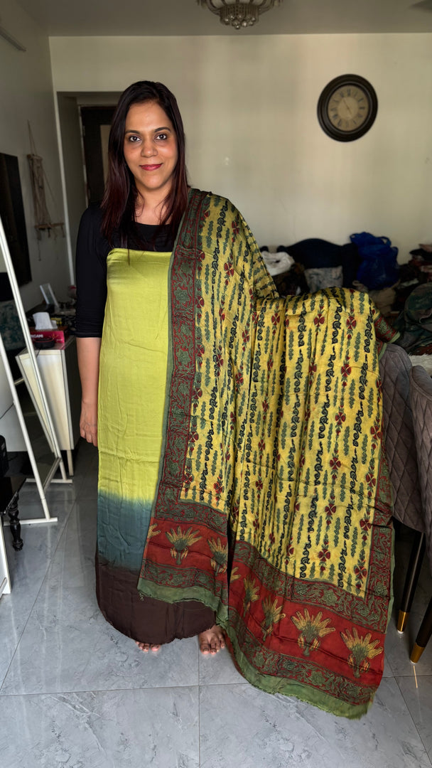 Vanaspathi handblocked modal silk dupatta paired with modal silk shaded top 2 piece set