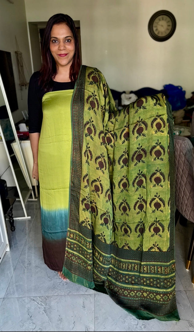 Vanaspathi handblocked modal silk dupatta paired with modal silk shaded top 2 piece set