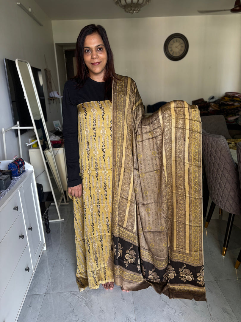 Pure vanaspathi handblocked modal silk 2 piece suit