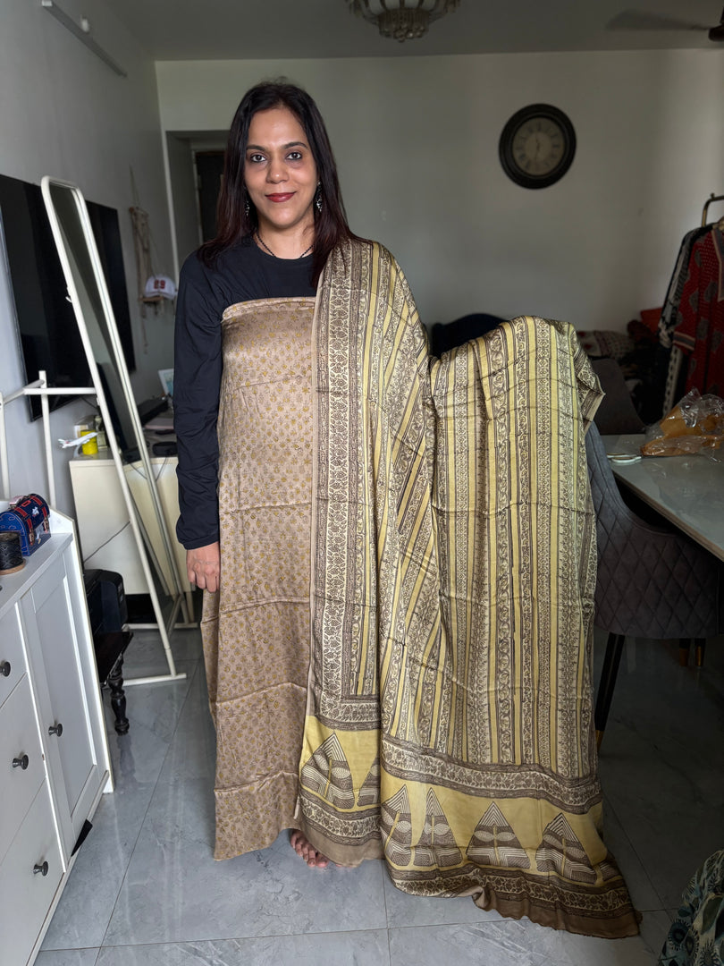 Pure vanaspathi handblocked modal silk 2 piece suit
