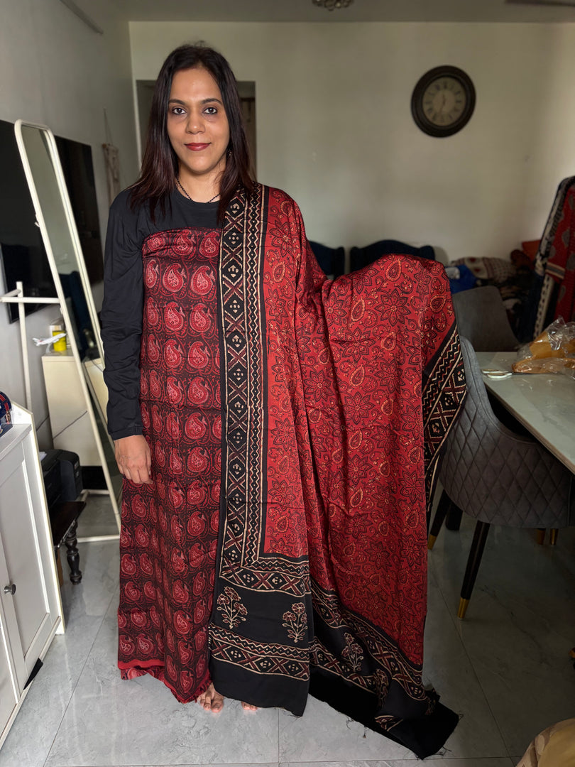Pure vanaspathi handblocked modal silk 2 piece suit