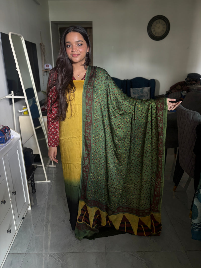 Ombre shade modal silk top with vanaspathi handblocked modal silk dupatta 2 piece set